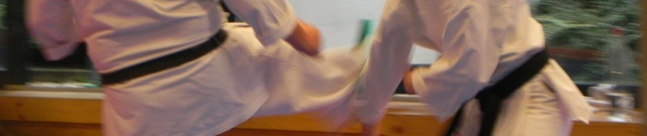 SHOREI RYU KARATE DO