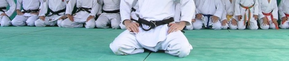 SHOREI RYU KARATE DO
