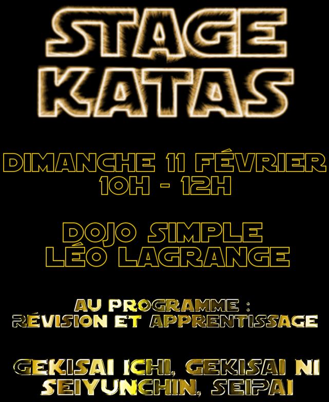 Stage Katas @ Dojo Simple du complexe Léo Lagrange
