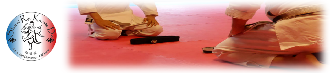 SHOREI RYU KARATE DO